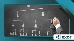 What Is a DAO