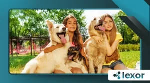 Tech for Pet Owners