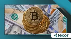What Is a Blockchain Explorer and How to Use It