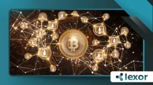 What Is a Blockchain Explorer and How to Use It