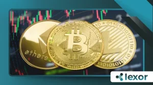 Top 5 Beginner Mistakes in Cryptocurrency