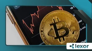 Modular Blockchain Architecture 