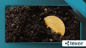 Modular Blockchain Architecture