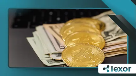 Modular Blockchains Explained