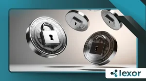 Rollups vs Validiums vs Volitions: What Beginners Should Understand About L2 Scaling