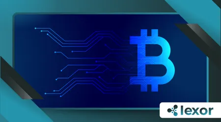 Blockchain paymaster contracts removing gas fees for users